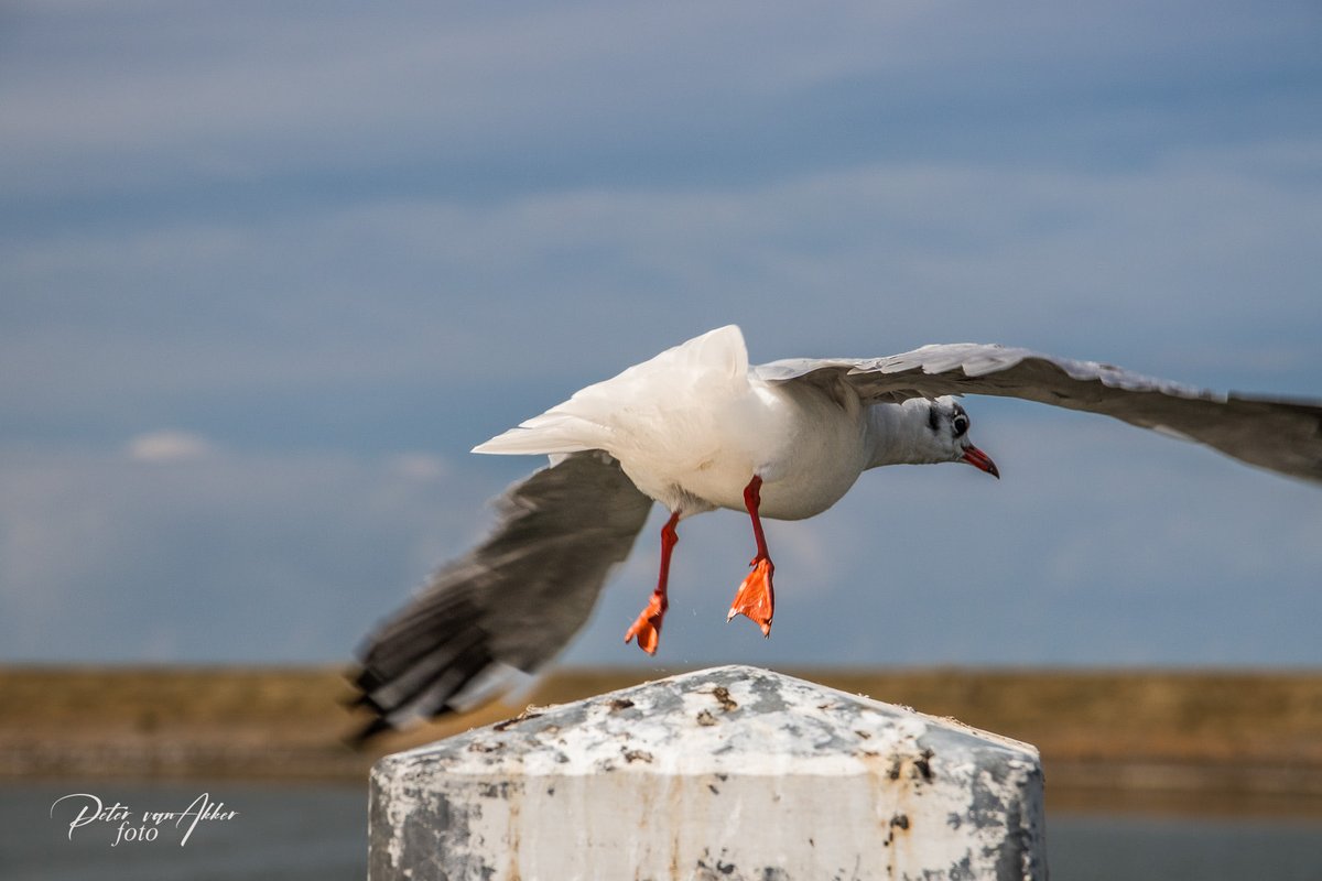 Nou lekker dan? Keer me je kont maar weer naar me toe😏🤭😝
