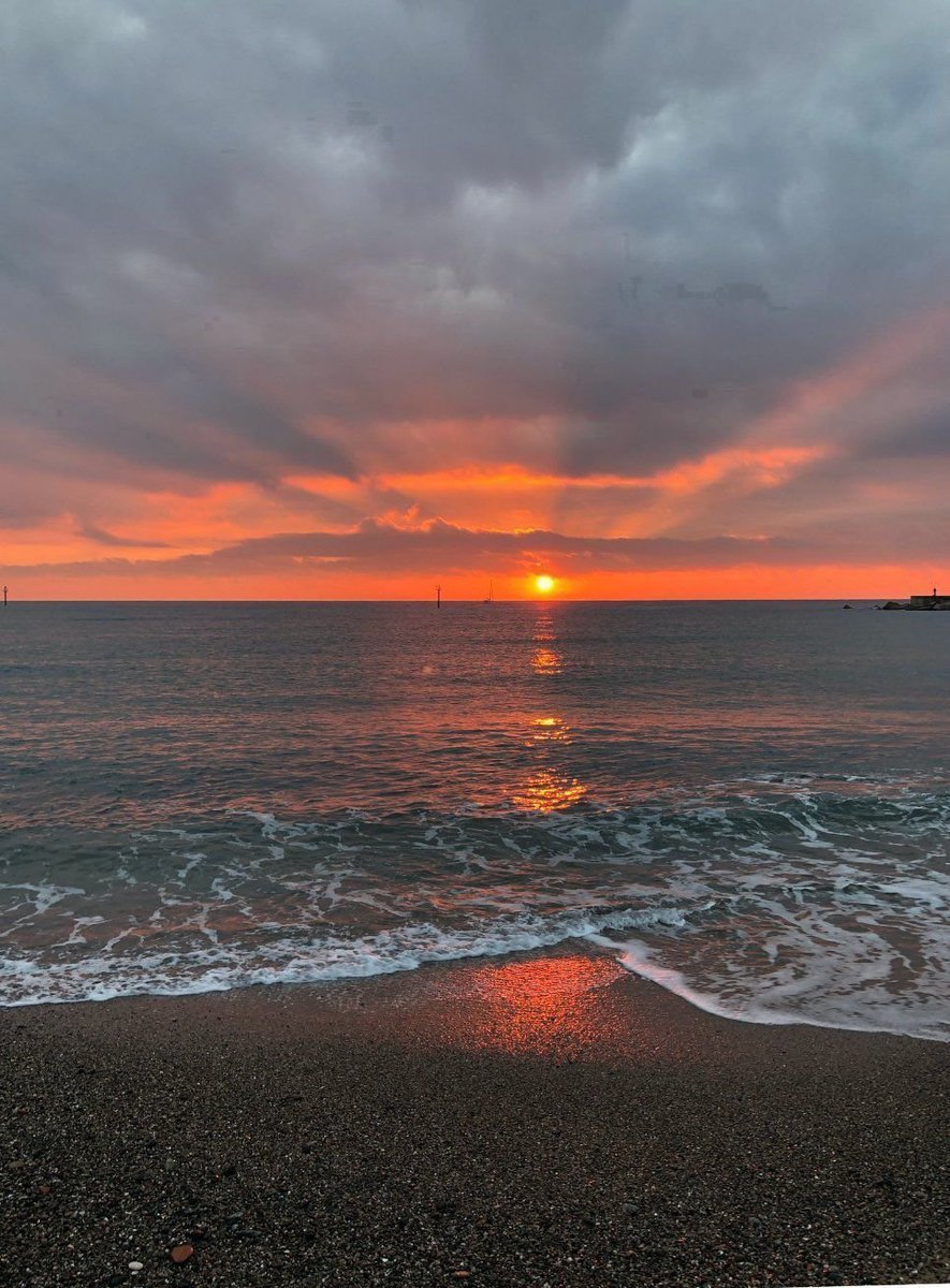 SAGE🌿 (@sagy720) on Twitter photo 