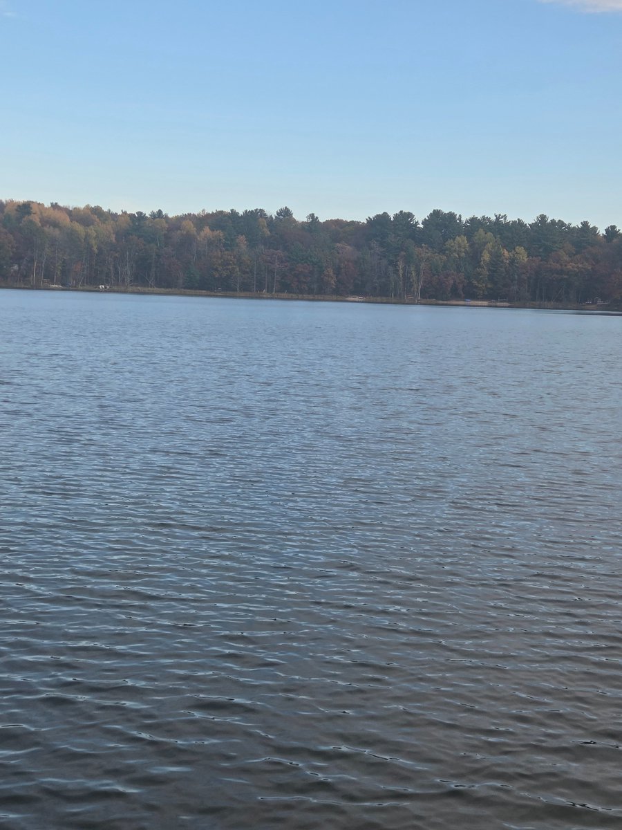 tipsandroid's tweet image. tip: take good pictures like this one