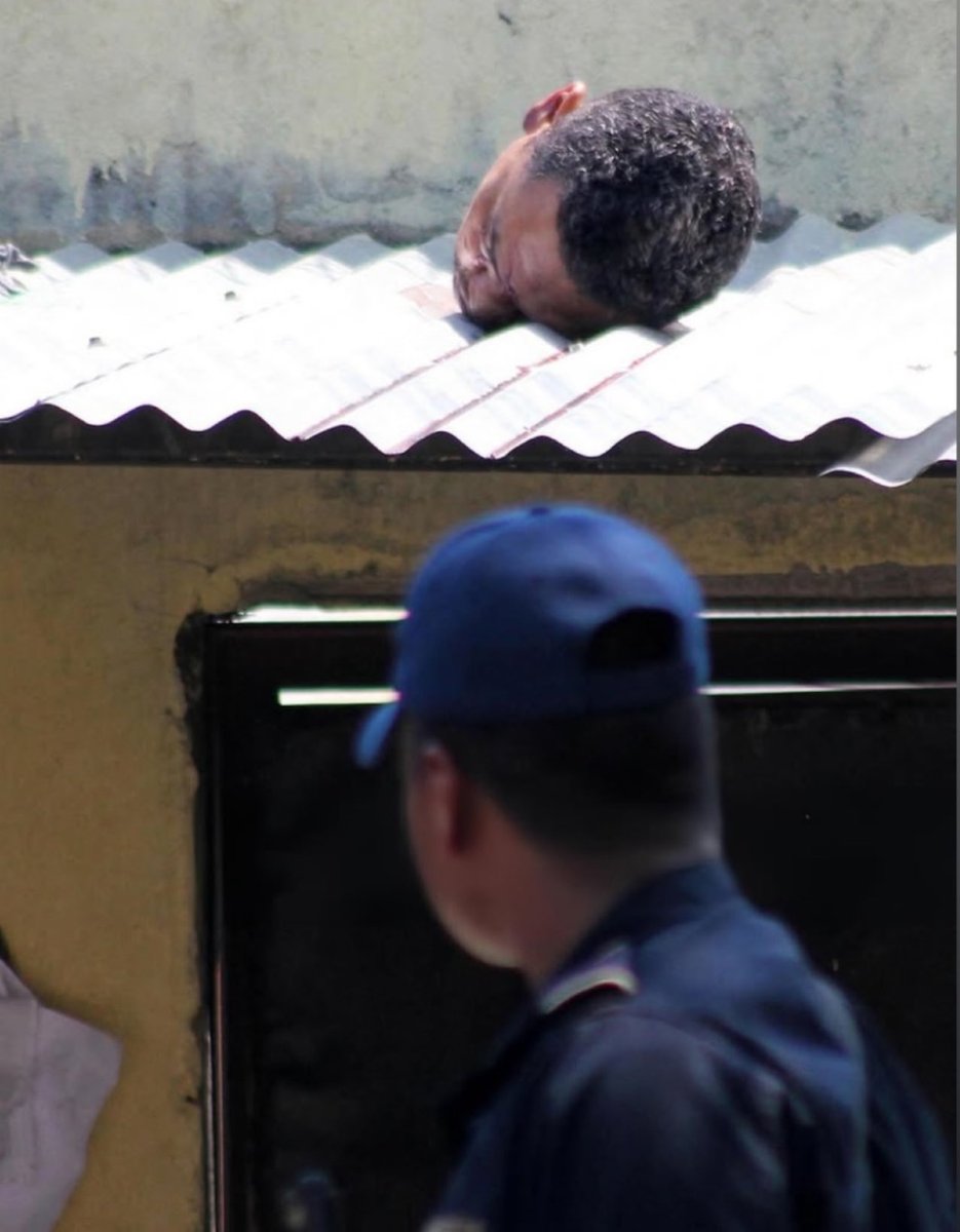 Weapon_eyezd's tweet image. Hey bro no sleeping on the roof