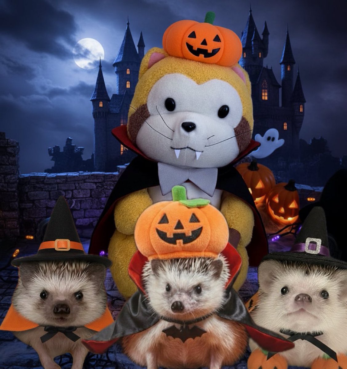 ハリネズミビリー れ*う様 ヨツユビハリネズミ (Four-toed hedgehog) 剥製 1 four