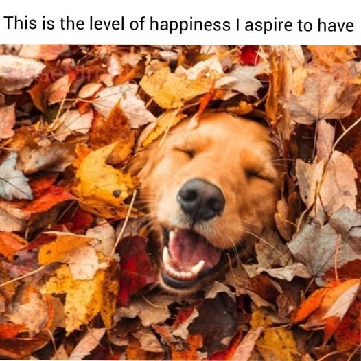 Eric Alper 🎧 tweet media