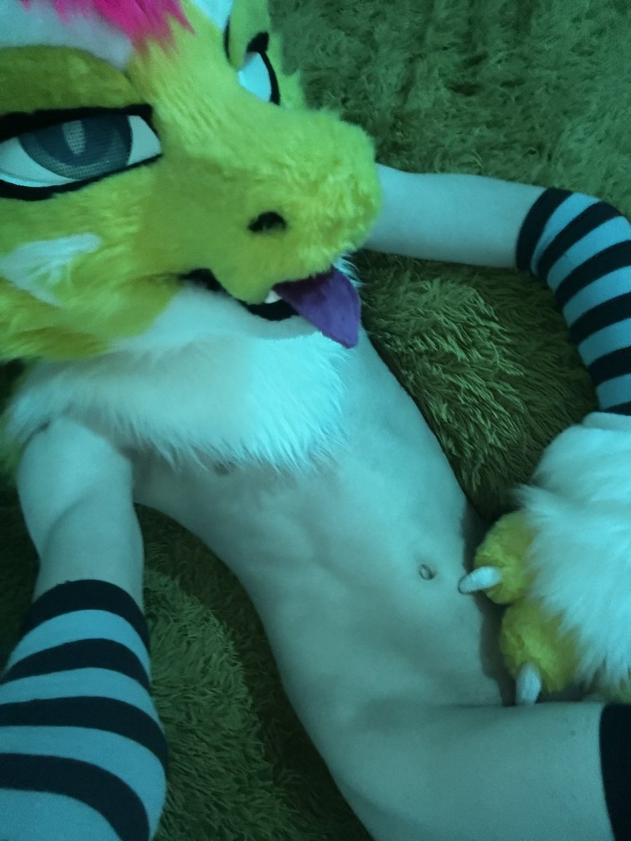 Smol deergon needs breeding any offers~

#mursuit #mur #mursuiter #furry #fursuit #murr #murrsuit #femboy #knot