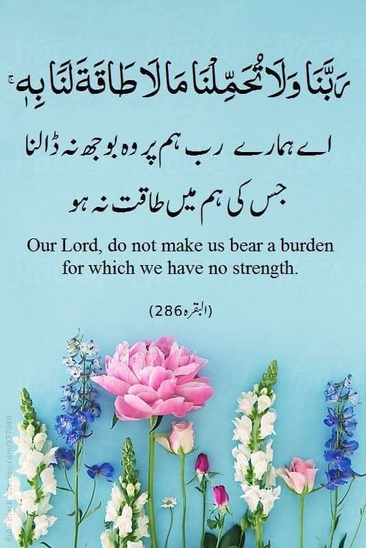 AssalamoAlaikum Subhabakher😊 have a nice day to all of you guys stay blessed ♥️