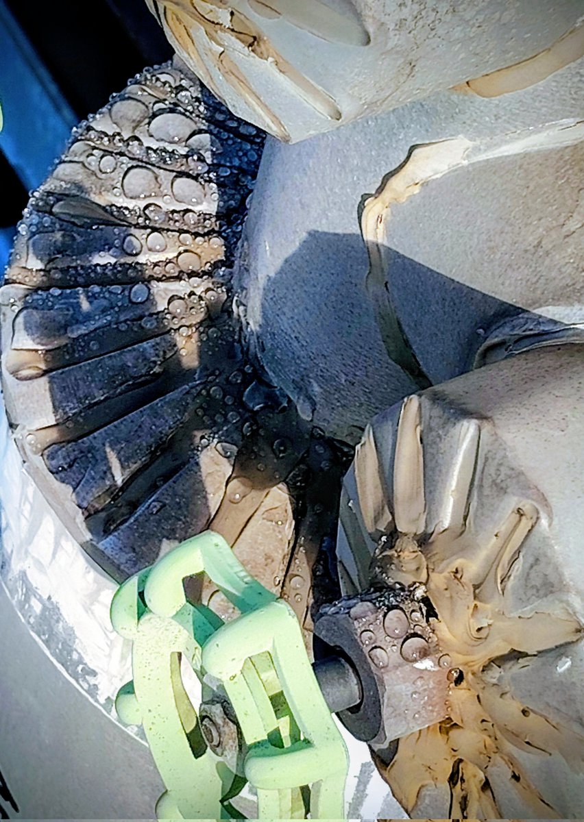 ベベべベジータ (@GbJWMDSwaEzZq3z) / Posts / X