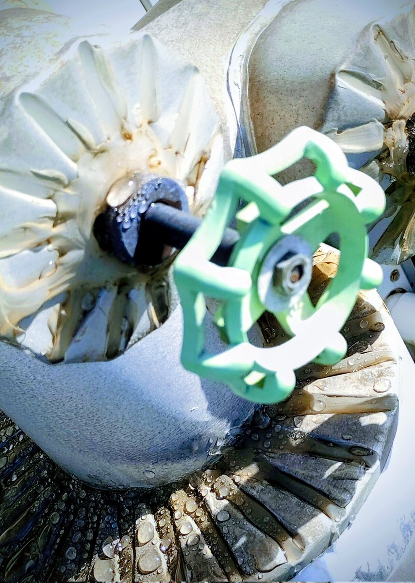 ベベべベジータ (@GbJWMDSwaEzZq3z) / Posts / X