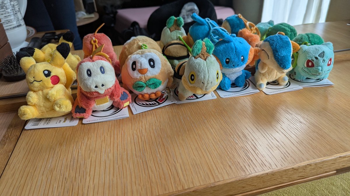 lovelacecoding's tweet image. Meet my new favorite children. Yes, these are all my favorite starters (and Pikachu). 💛🌱🔥💧✨