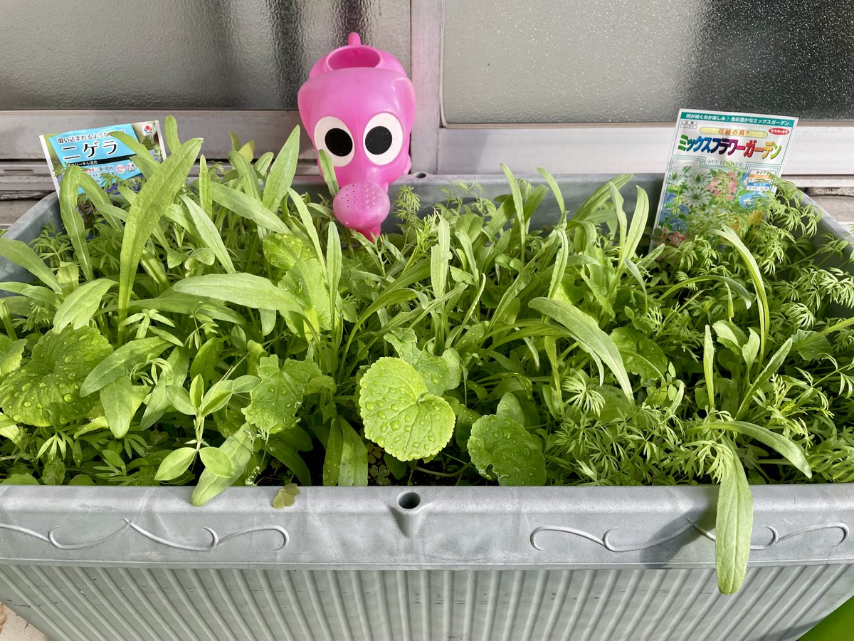 株式会社青葉🍀 on X