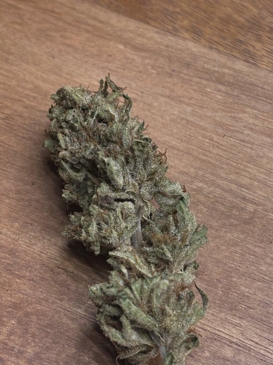 10 day cure…

Burp Free….

Science 

<a href="/BovedaCannabis/">Boveda Fresh</a> <a href="/vivipacks_/">Vivi Packs</a> <a href="/TheCVault/">TheCVault</a>