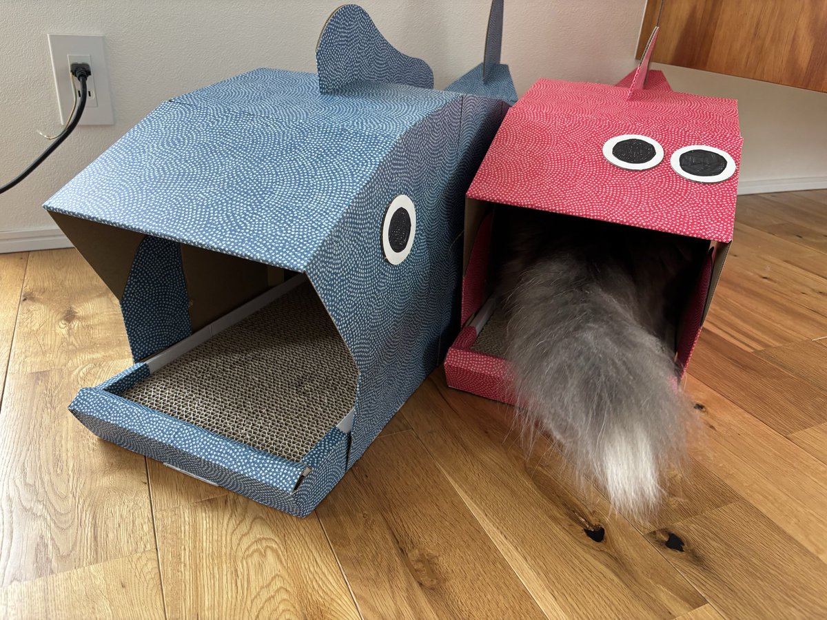 neko_oden123's tweet photo. 可愛いお魚の爪研ぎ😍組み立ても簡単で、すぐに気に入り、爪を研いでました🐈 #PR @a1_package
#ねこかわいいね https://t.co/6p3ZKbAxIl