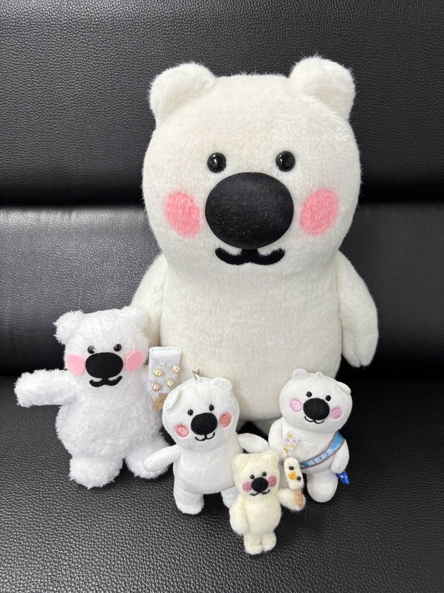 くじ くまのがっこう