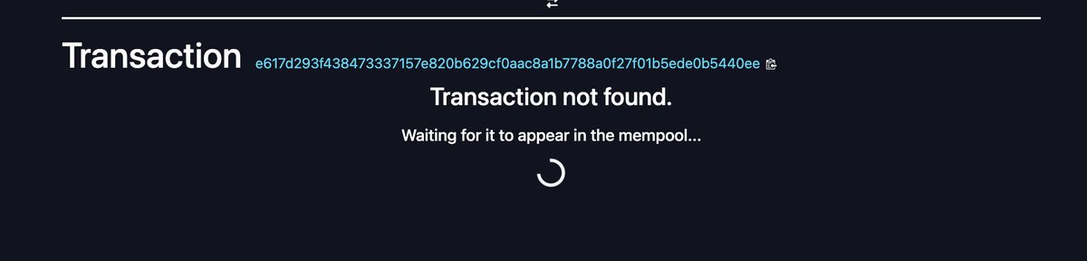 <a href="/mononautical/">mononaut</a> Wen v30 on mempool.space?
