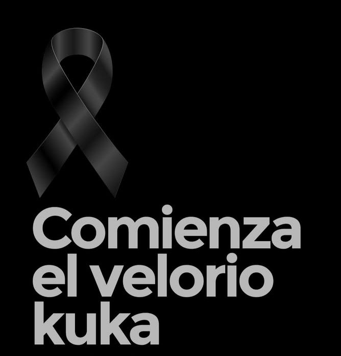 CHAU VIVI tweet media