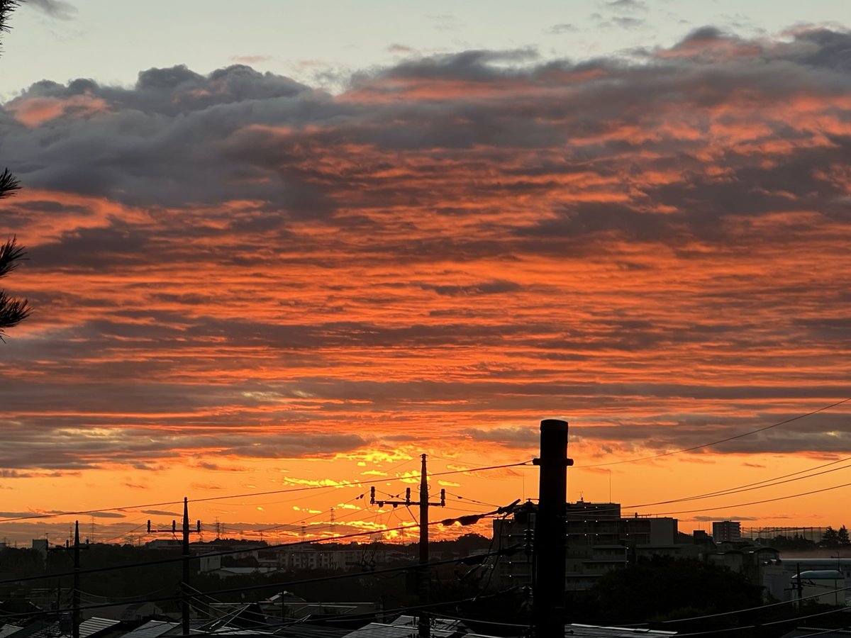 まめ✨5️⃣点 hq720.jpg?sqp=-