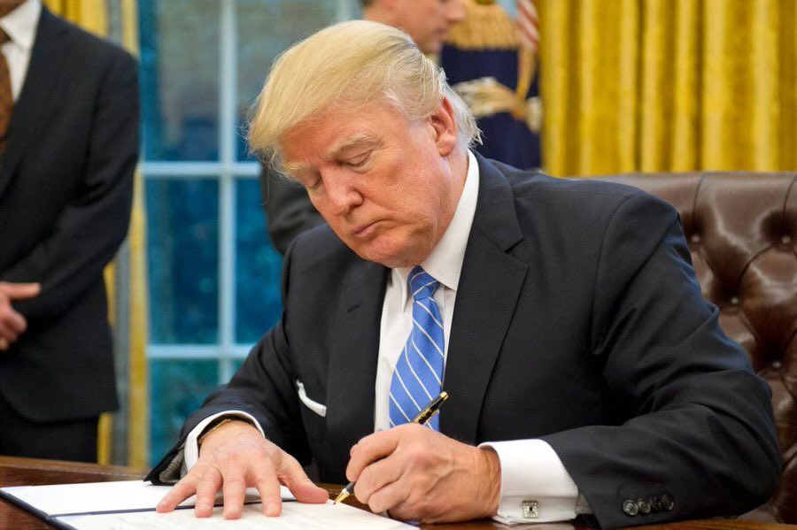 Do you feel safe with Donald Trump as your president🇺🇸!?   

YES or NO