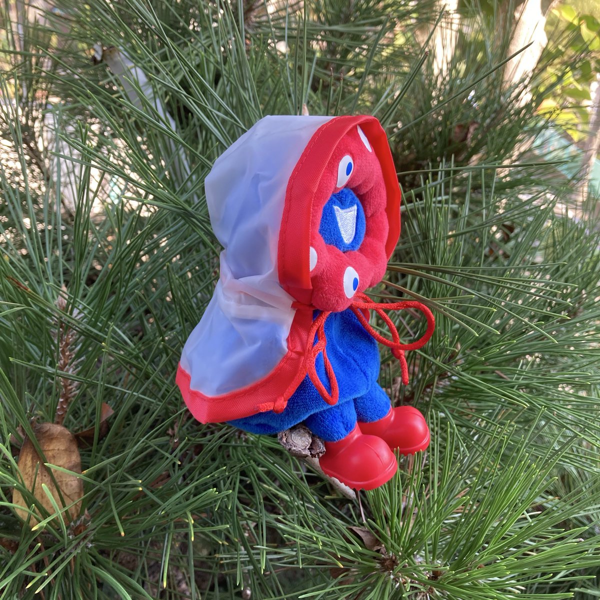 358mtb's tweet image. 組み合わせ天才(自画自賛)