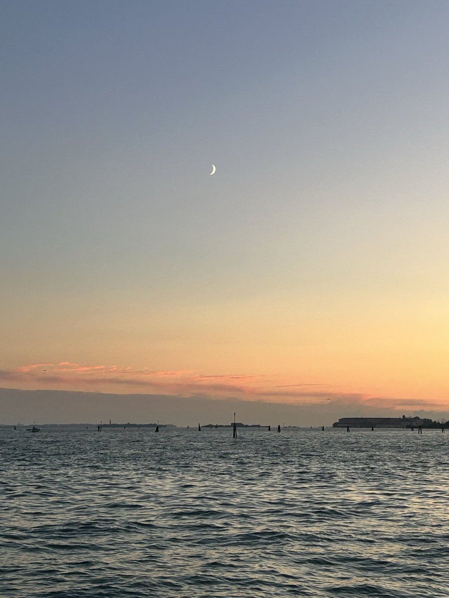 дурак который ещё не шарит🧦 tweet media