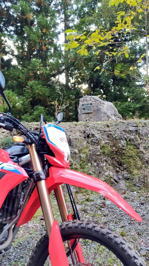 月曜だけど気力がない🙀