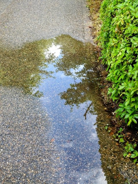 おはようございます！

雨上がりの月曜日
10月も今週で最後ですね

今日は読書の日
技術書から得る学びは、日々の成長の糧に💡
今週は読書週間にしてみるのもいいですね

週の始まり月曜日もよろしくお願いします！

#企業公式相互フォロー #エンジニア