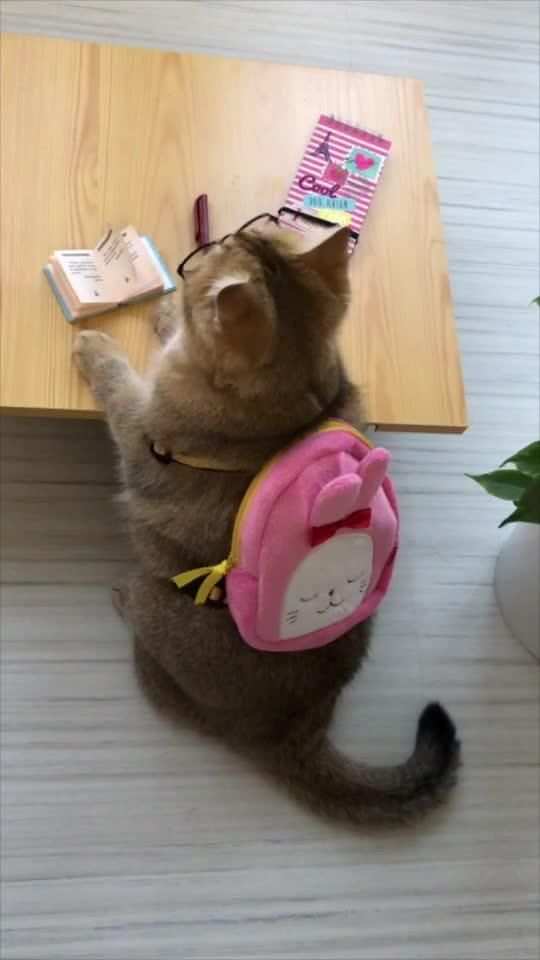 blooming thumbelina 𓇗 tweet media