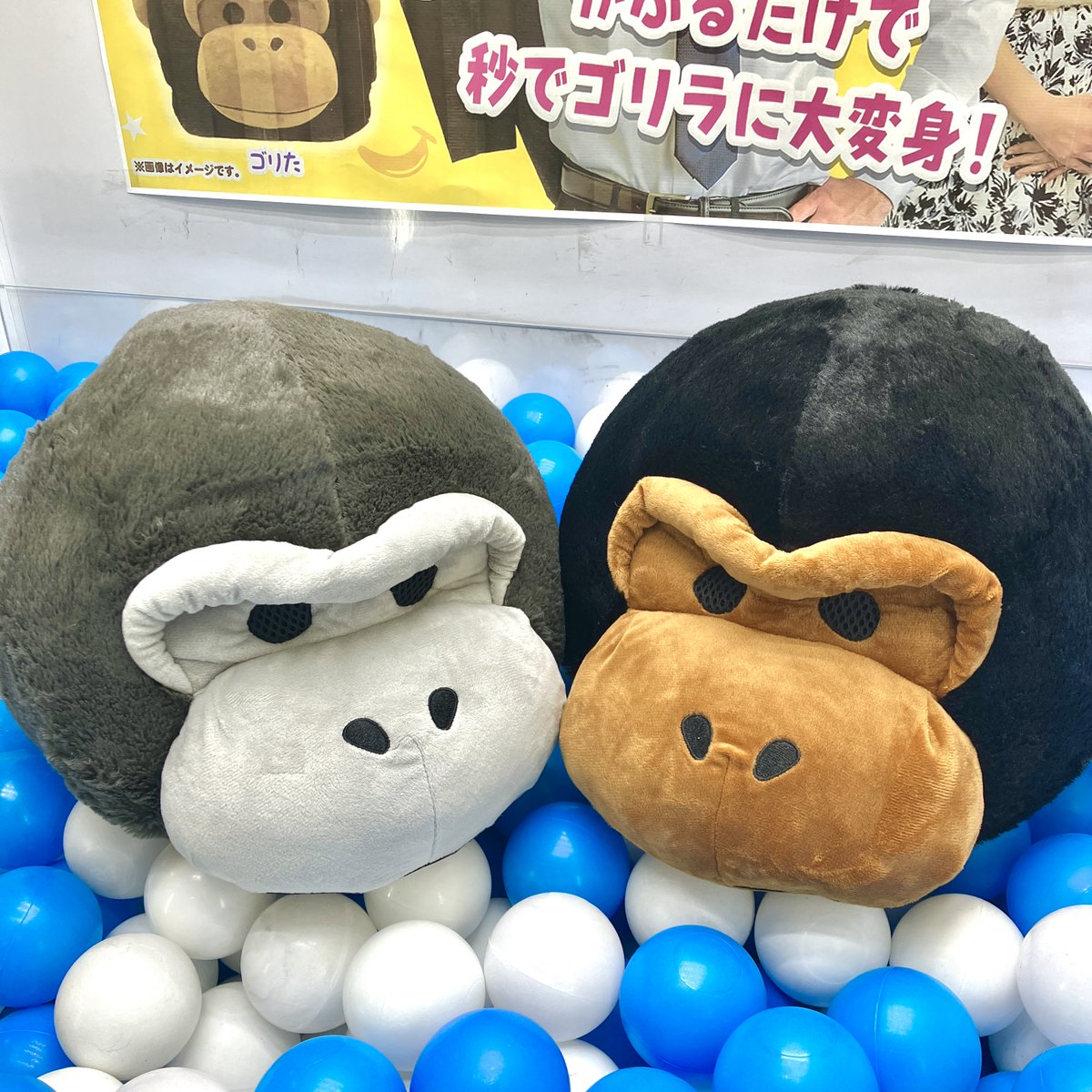 ❣本日の新景品❣ 大人気‼『#ウホウホゴリラのゴリくん』から「ゴリ