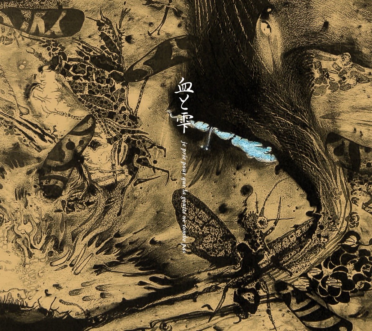 Grand Fish/Lab (@grandfishlab) / Posts / X