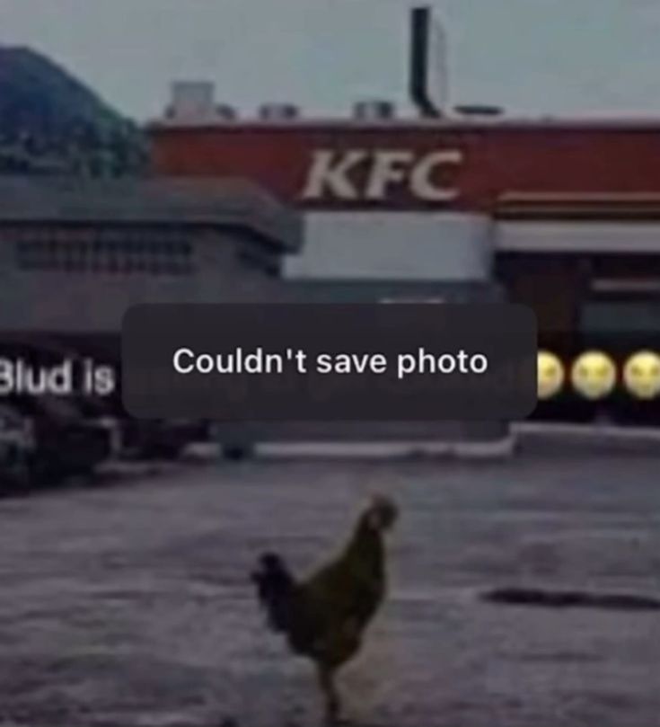 007n7slop's tweet image. pictures that i think are very c00lkidd core 
dont ask me why