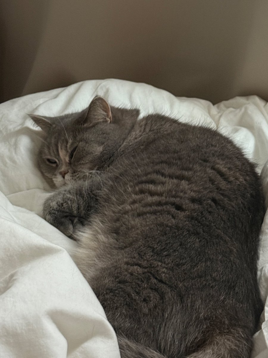 낮잠맛나게자기 딱좋은 조도와 온도와 폭닥이불