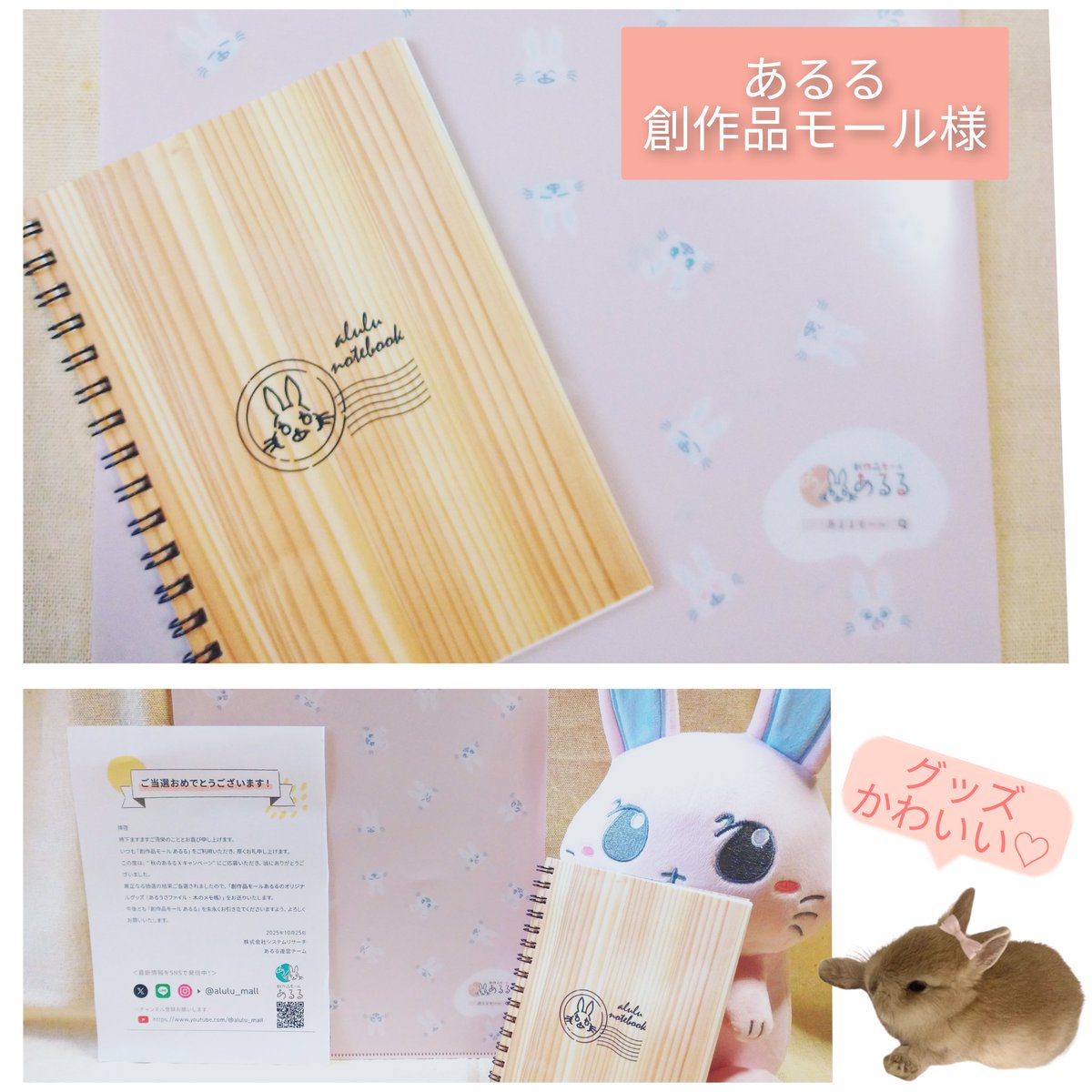 モモスケ🐇 (@momosuke0111) / Posts / X