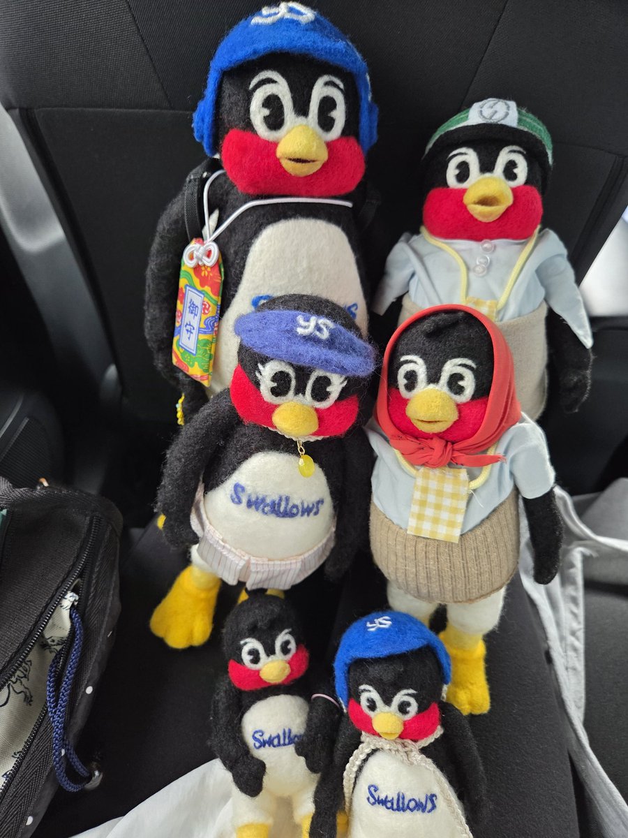 muuuucho2896789's tweet image. おでかけ🐧🐧🐧🐧🎀🐧🐧
勢揃い!6羽
283号もいるよ
