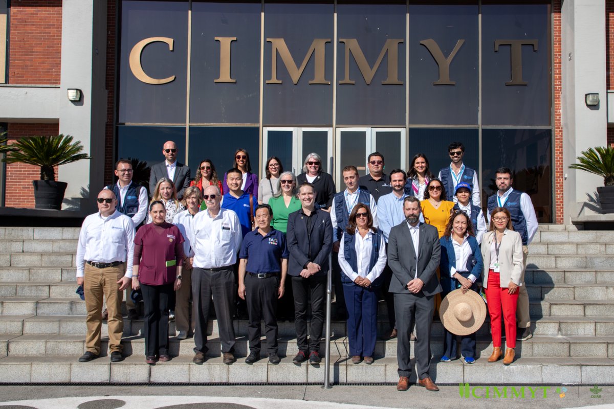 .<a href="/CIMMYT/">CIMMYT</a> we are pleased to welcome Mr. Qu Dongyu <a href="/FAODG/">FAO Director-General QU Dongyu</a> to our HQs in #Mexico.

Together, we reaffirm our dedication to food security and sustainable agriculture—working daily toward a world with nutritious food for everyone.

#FAO80 #CIMMYT2030 #InnovationinAg #HandInHand