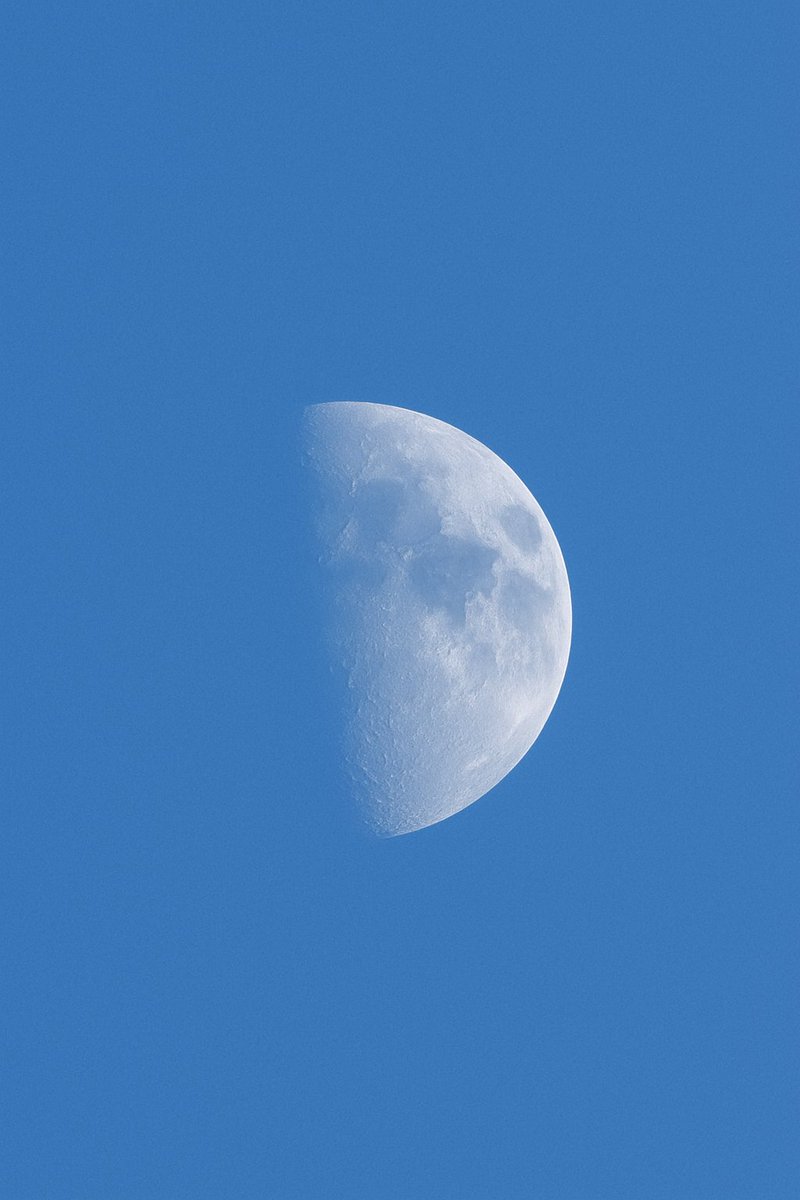 Una de mis favoritas 

.
#Elecciones2025