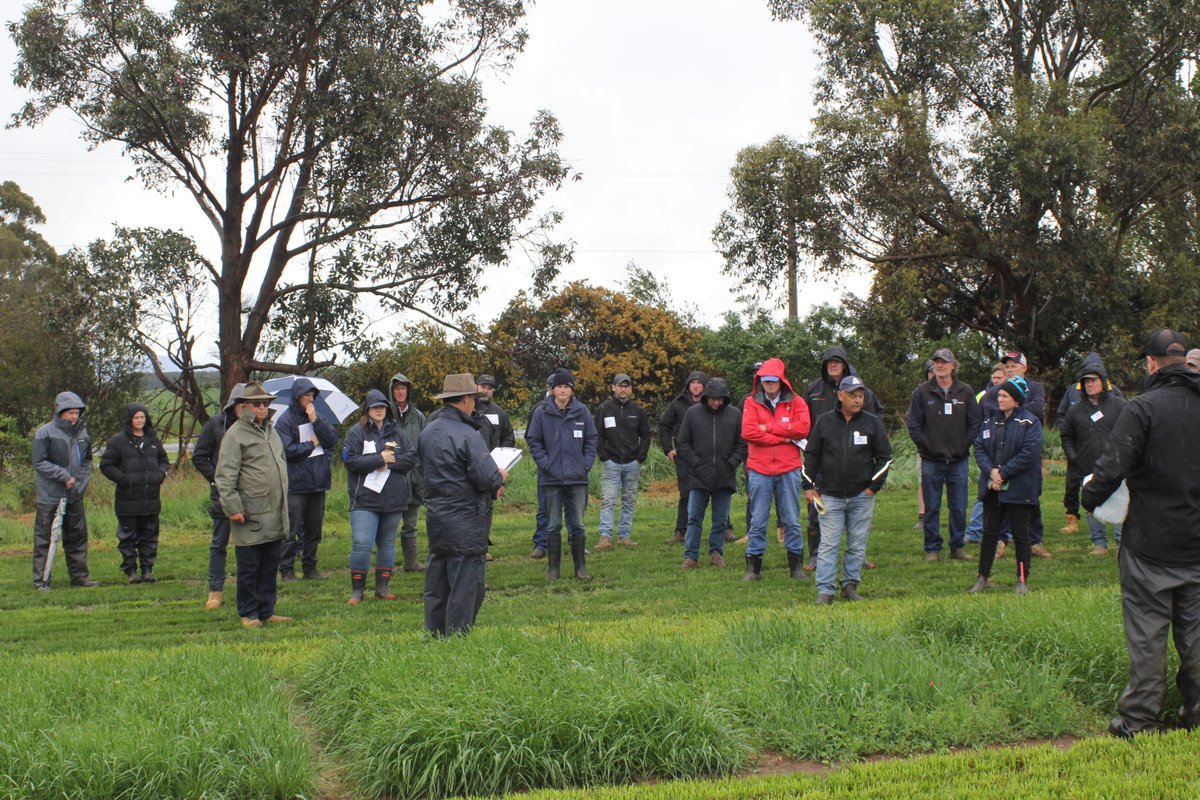 AGF Seeds tweet media