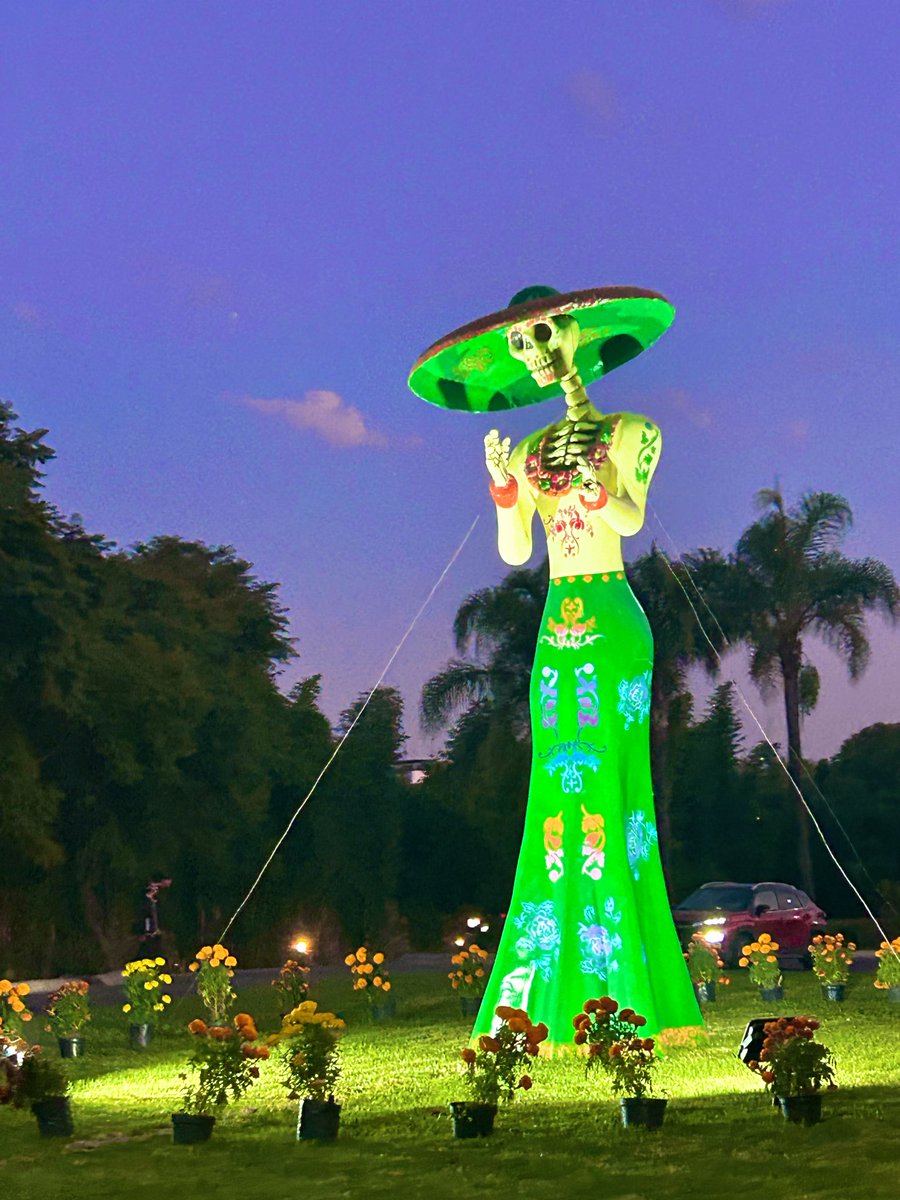 Las tumbas 🪦 son para los muertos 💀, las flores 💐 para sentirse bien , la vida es para gozarla …..