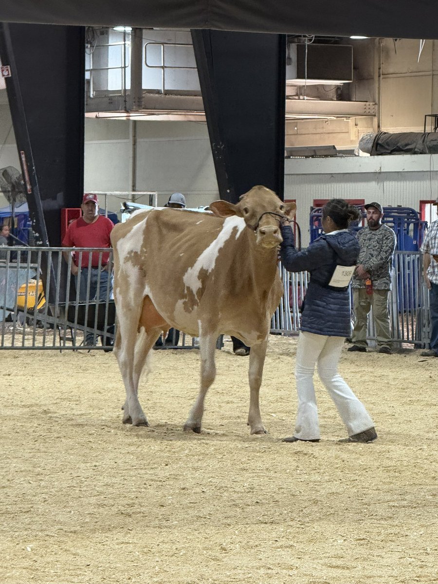 Iteach2ndgrade1's tweet image. State Fair all day on Saturday! #ncstatefair Good times! ❤️🎡