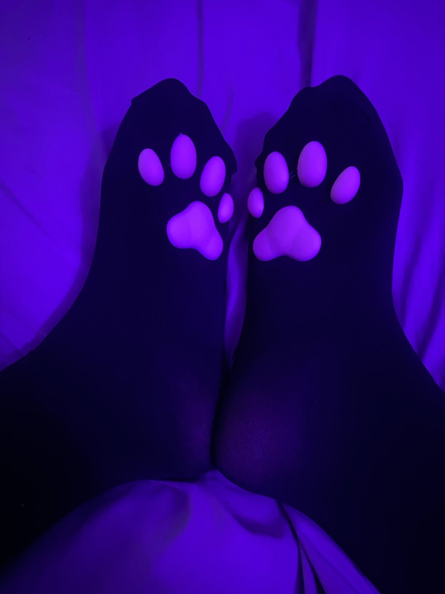 tsukiboi28's tweet photo. Beans! 🐾 ;3 https://t.co/W2M2xvKoaH