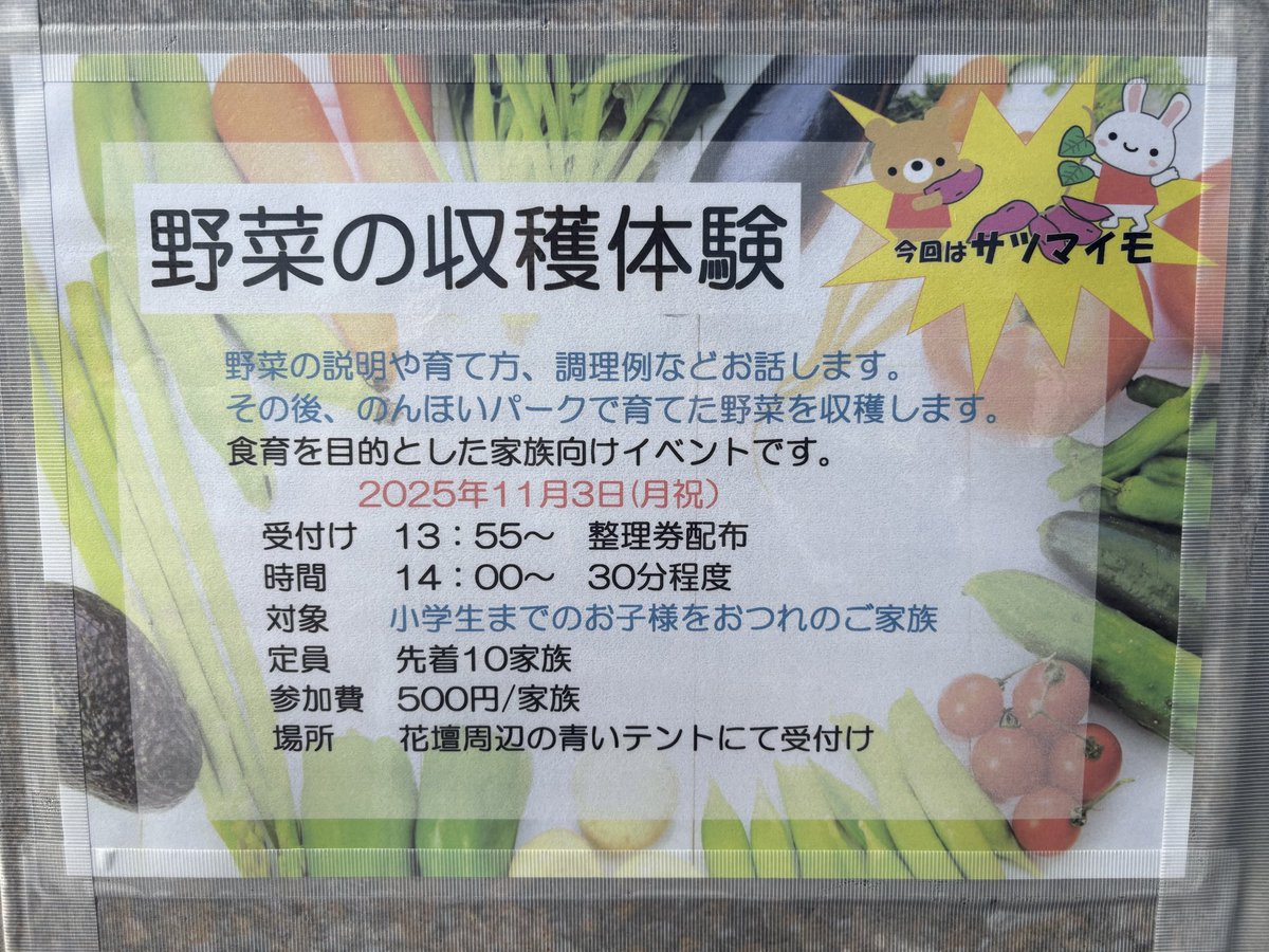 ✏おいしい野菜研究室✏ 洗わず食べられる・室内水耕栽培＞ レタス4種 ｜ 農薬不使用 4種