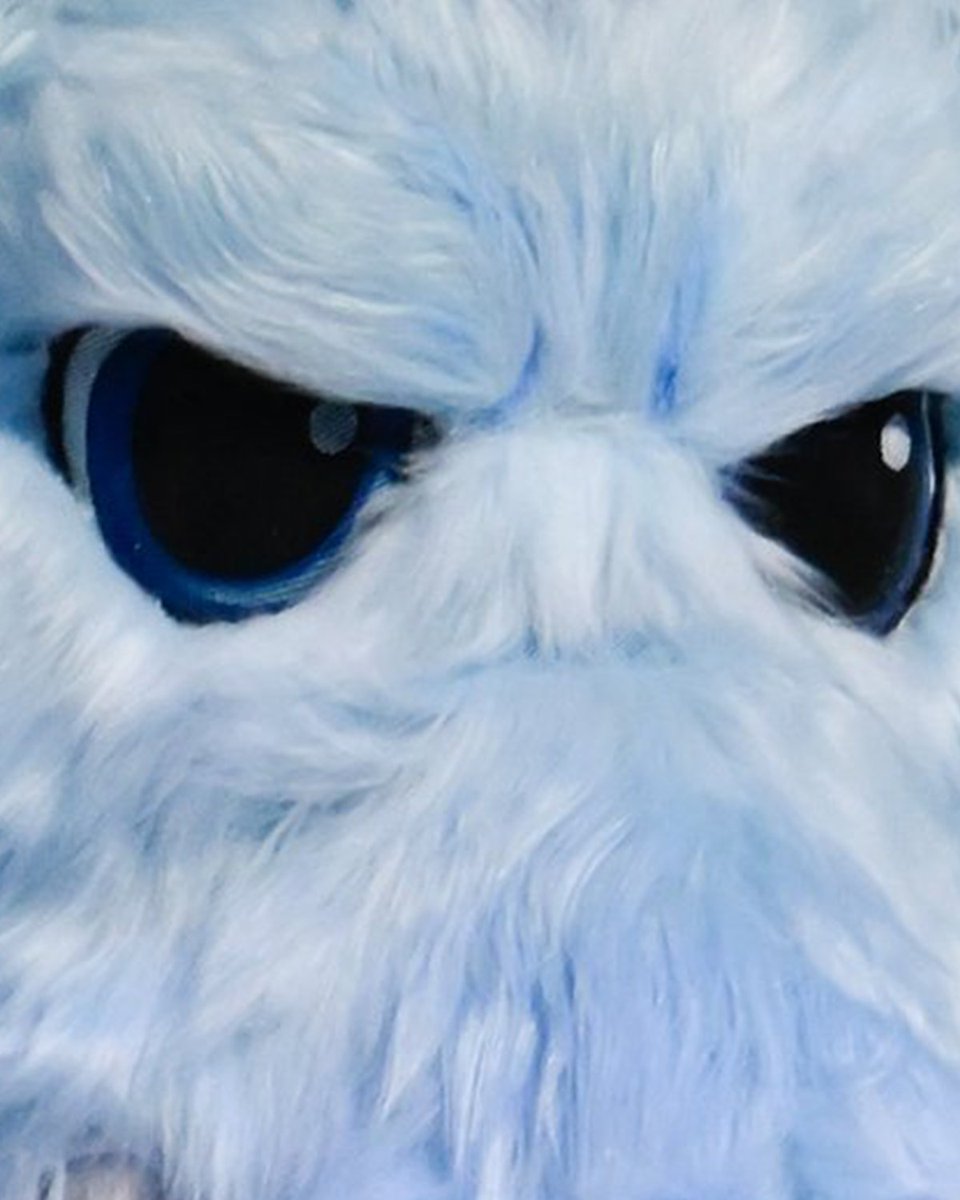 NHL's tweet image. *7-0-0