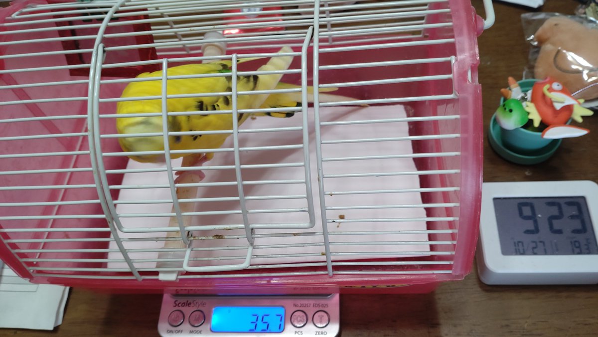 ちょこっとアニマル2006 ななこ丸＠3次元の住人 on X