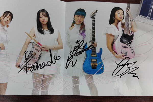 Muse　Starlight　EP　レコード　PICTURE　ピクチャー盤 ステレオ on X