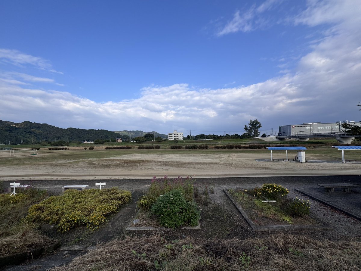 食べれず
投げれず

今日投げる人？