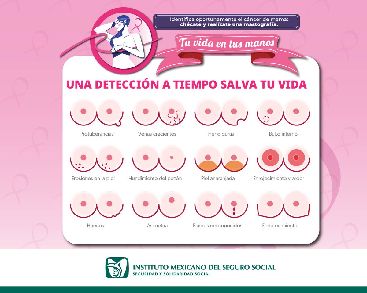 ¡Una detección a tiempo salva tu vida!

Para identificar oportunamente el #CáncerDeMama: chécate y realízate una mastografía. 👱‍♀️👩‍🦰👩‍🦳👩