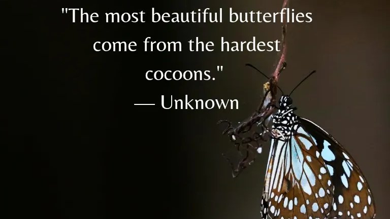 AmitabhJha3's tweet image. 