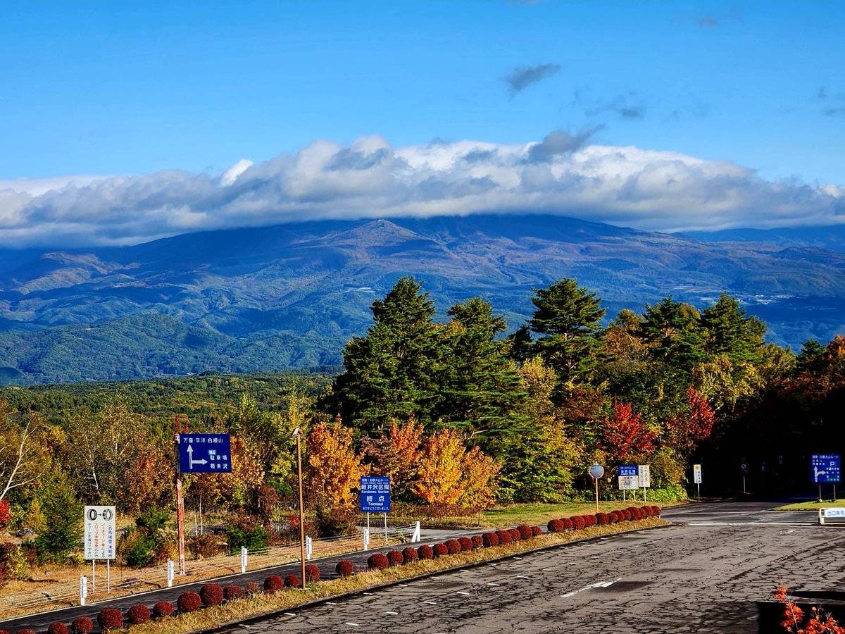 2025年10月12日（月）晴れ12℃ 雨上がりの澄んだ空となりました。 園内