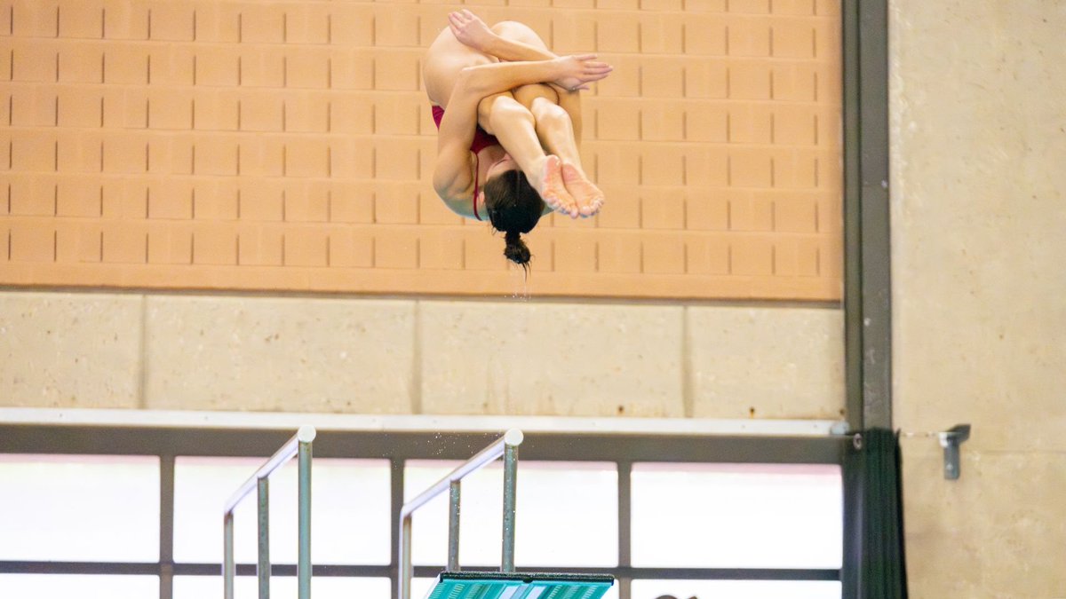 MeanGreenSD's tweet photo. Sometimes you double up and win the 1-meter and 3-meter against an @American_Conf foe, and sometimes you anchor the 200 Free Relay with your diving friends and might as well have won Olympic 🥇🤣

Great job, Sydney! 👏

#GMG https://t.co/rFh0WHNynC