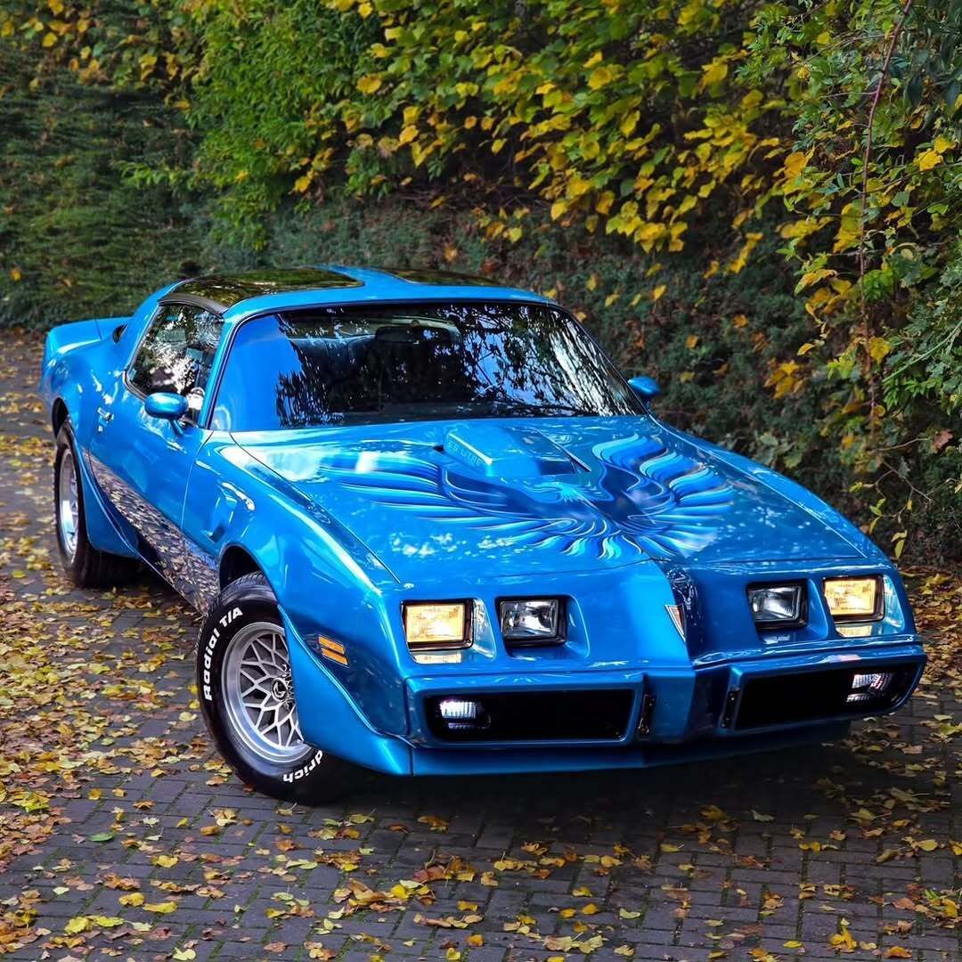 HappyMotorhead's tweet image. ♦️🔸️💎🔸️♦️🔹️💎🔹️♦️🔸️💎🔸️♦️

🔸️ Yes or No ❓️