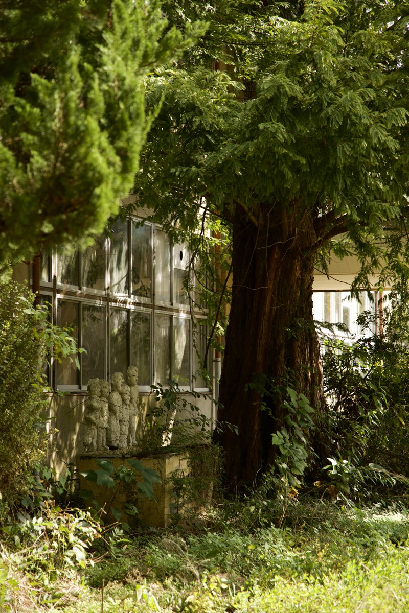 S38Qq9's tweet image. #写真
#EOSR6MarkII