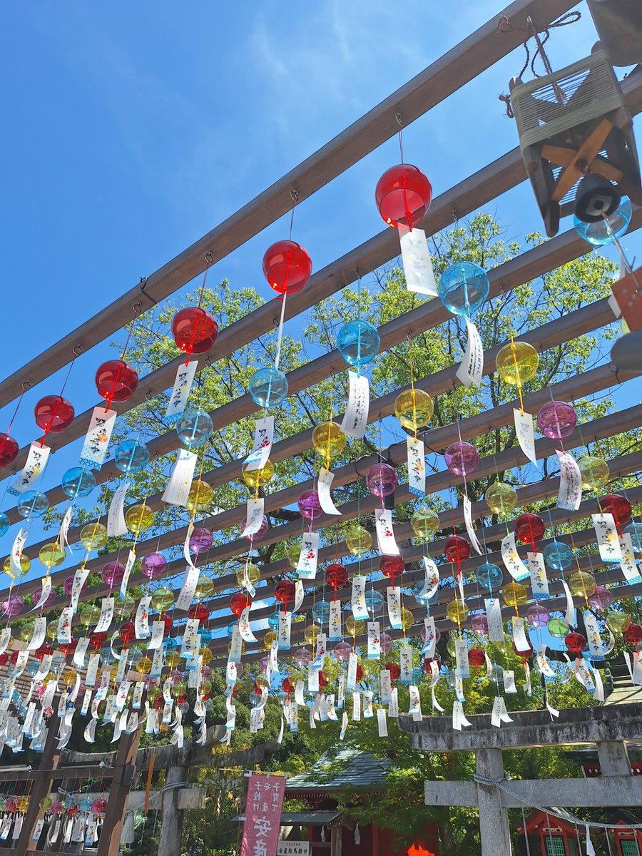 DATALOGIC_REAL4's tweet image. おはようございます！
今朝の萩市は快晴です☀️ 秋らしい澄んだ青空が広がっています。
こちらの写真は、夏に宇部市の琴崎八幡宮 納涼風鈴まつりで撮影した一枚です📷

#企業公式が毎朝地元の天気を言い合う 
#琴崎八幡宮 #山口の風景 
#企業公式つぶやき部 
#企業公式相互フォロー