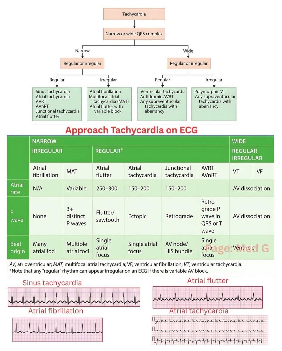 Docma29's tweet image. 