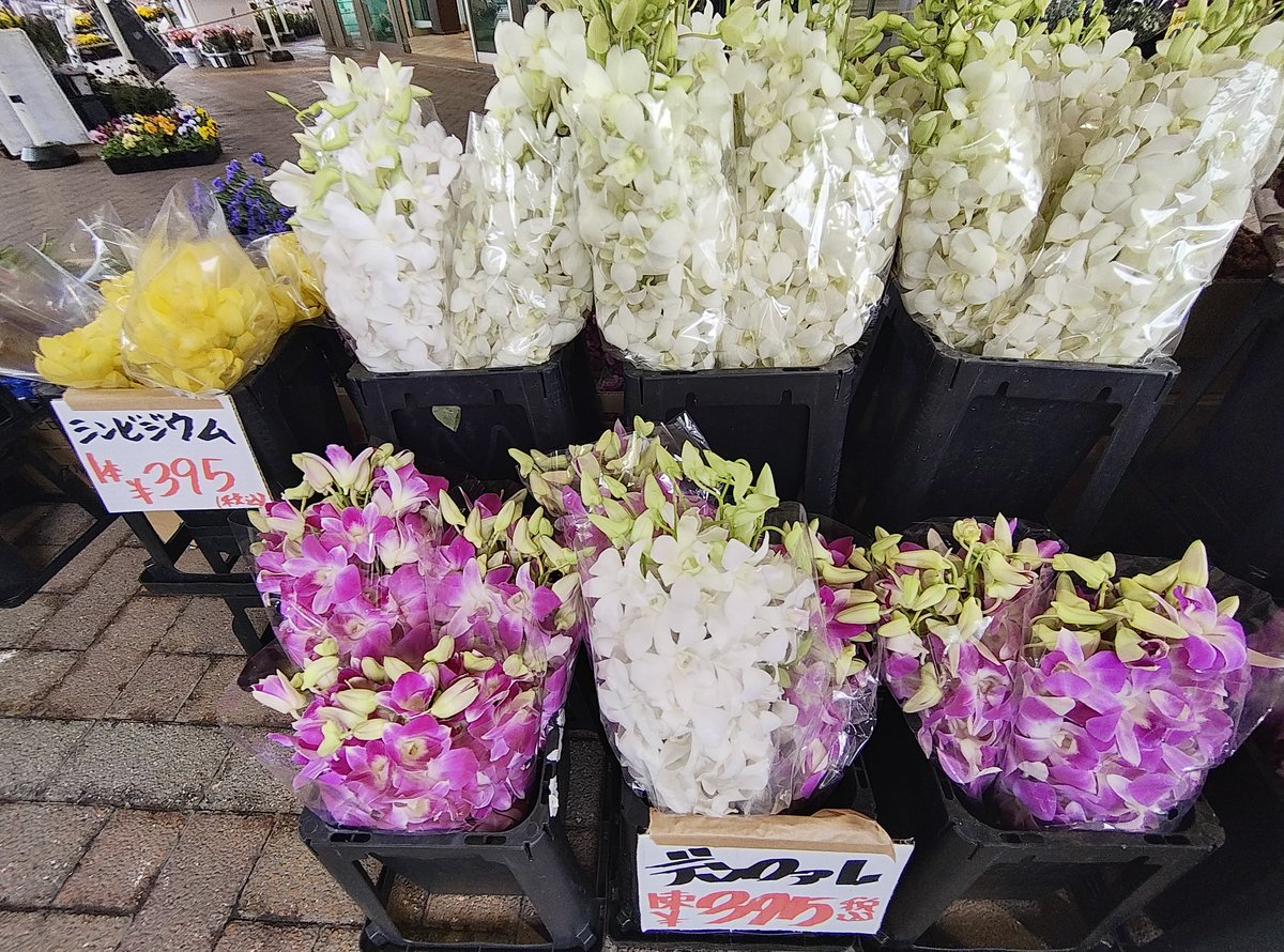 ☆　花　☆ スパティフィラムの小さな鉢で お生花を。 日本華道社の新製品